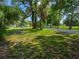 547 Live Oak Avenue - Photo 3
