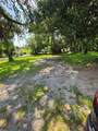 547 Live Oak Avenue - Photo 4
