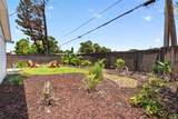 117 Ann Rustin Drive - Photo 50