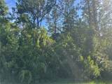 41 Rivera Lane - Photo 6