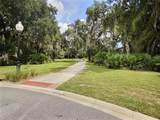 4 Turkey Oak Lane - Photo 11