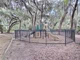 4 Turkey Oak Lane - Photo 7