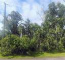 1 Kalmar Place - Photo 4