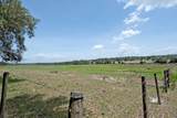 14704 Old Highway 50 - Photo 14