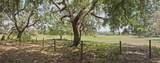 14704 Old Highway 50 - Photo 18