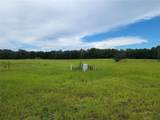 11580 Us Highway 441 - Photo 12