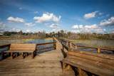 19521 Spring Oak Drive - Photo 39