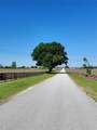 Lot 4 102nd Boulevard - Photo 6