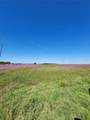 Lot 4 102nd Boulevard - Photo 7
