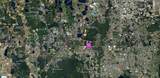  Apopka Vineland Road - Photo 5