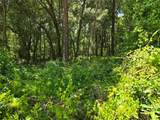  284TH Court - Photo 3