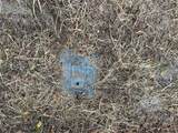 1114 Estate Drive - Photo 11