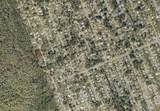  Silver Palm Drive - Photo 5