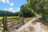 4242 Griffin View Drive - Photo 2