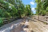4242 Griffin View Drive - Photo 3