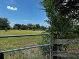 3545 Paulette Street - Photo 4