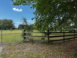 3545 Paulette Street - Photo 5