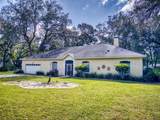 1311 Mandarin Lane - Photo 71