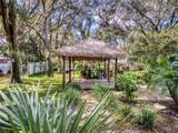 1311 Mandarin Lane - Photo 77