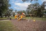 10619 Grand Oaks Boulevard - Photo 32