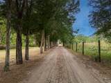 40635 Thomas Boat Landing Road - Photo 5