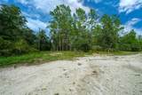 34167 Belt Drive - Photo 1