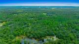 34167 Belt Drive - Photo 4