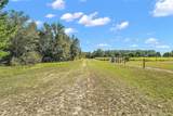 11001 Moon Crest Lane - Photo 21