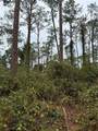 15518 State Road 19 - Photo 13