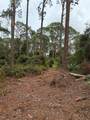15518 State Road 19 - Photo 15