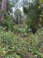 15518 State Road 19 - Photo 16