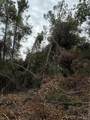 15518 State Road 19 - Photo 22