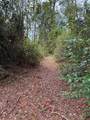15518 State Road 19 - Photo 6