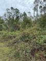 15518 State Road 19 - Photo 8