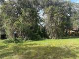  Luana Drive - Photo 3