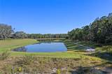 20280 Shoreline Ranches Lane - Photo 14
