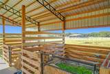 8442 Florida Boys Ranch Road - Photo 10