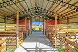 8442 Florida Boys Ranch Road - Photo 12