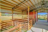 8442 Florida Boys Ranch Road - Photo 13