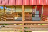 8442 Florida Boys Ranch Road - Photo 15