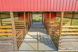 8442 Florida Boys Ranch Road - Photo 16