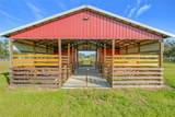 8442 Florida Boys Ranch Road - Photo 18