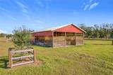 8442 Florida Boys Ranch Road - Photo 20