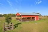 8442 Florida Boys Ranch Road - Photo 21