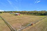 8442 Florida Boys Ranch Road - Photo 26