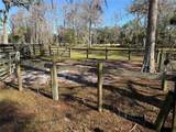2403 County Road 416N - Photo 93
