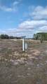 38401 Wooded Meadow Drive - Photo 12