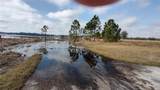 38401 Wooded Meadow Drive - Photo 14