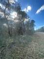  Butternut Drive - Photo 10