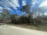  Butternut Drive - Photo 11
